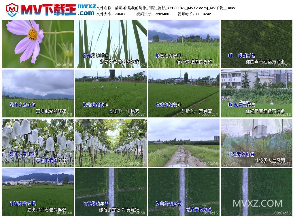 韵羽-你是我的旋律_国语_流行_YEB00943